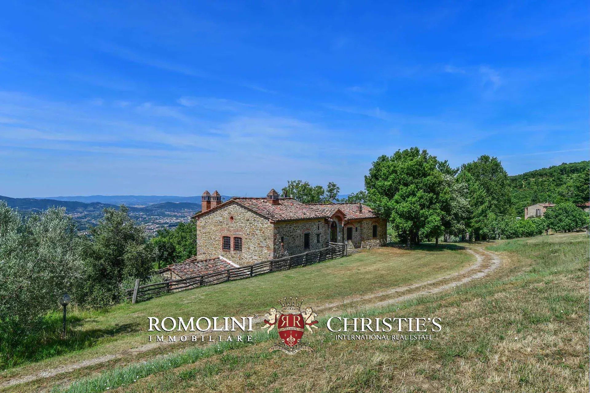 TENUTA VINICOLA BIOLOGICA IN VENDITA, CANTINA BIO TOSCANA