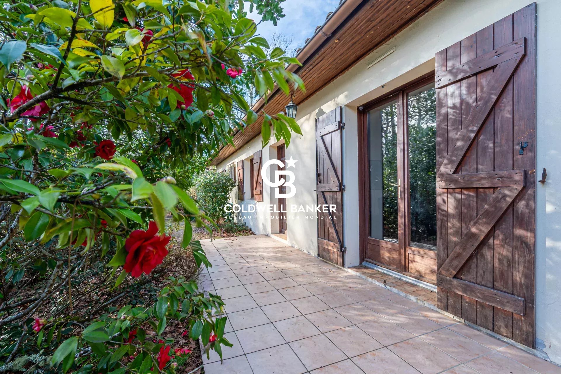 Agence immobilière de Silver Coast Int. Realty