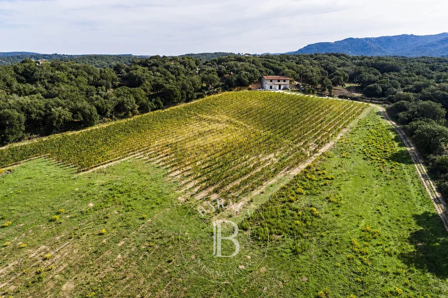 Villa Monti  -  ref 87076242 (picture 2)