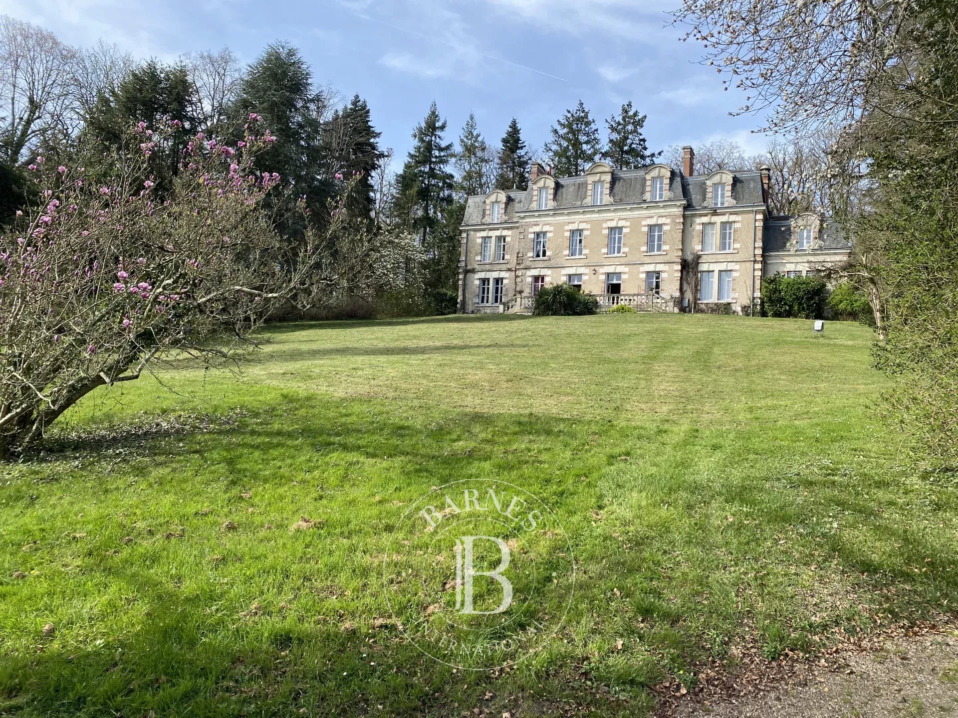 Château Veuves  -  ref 7331602 (picture 3)
