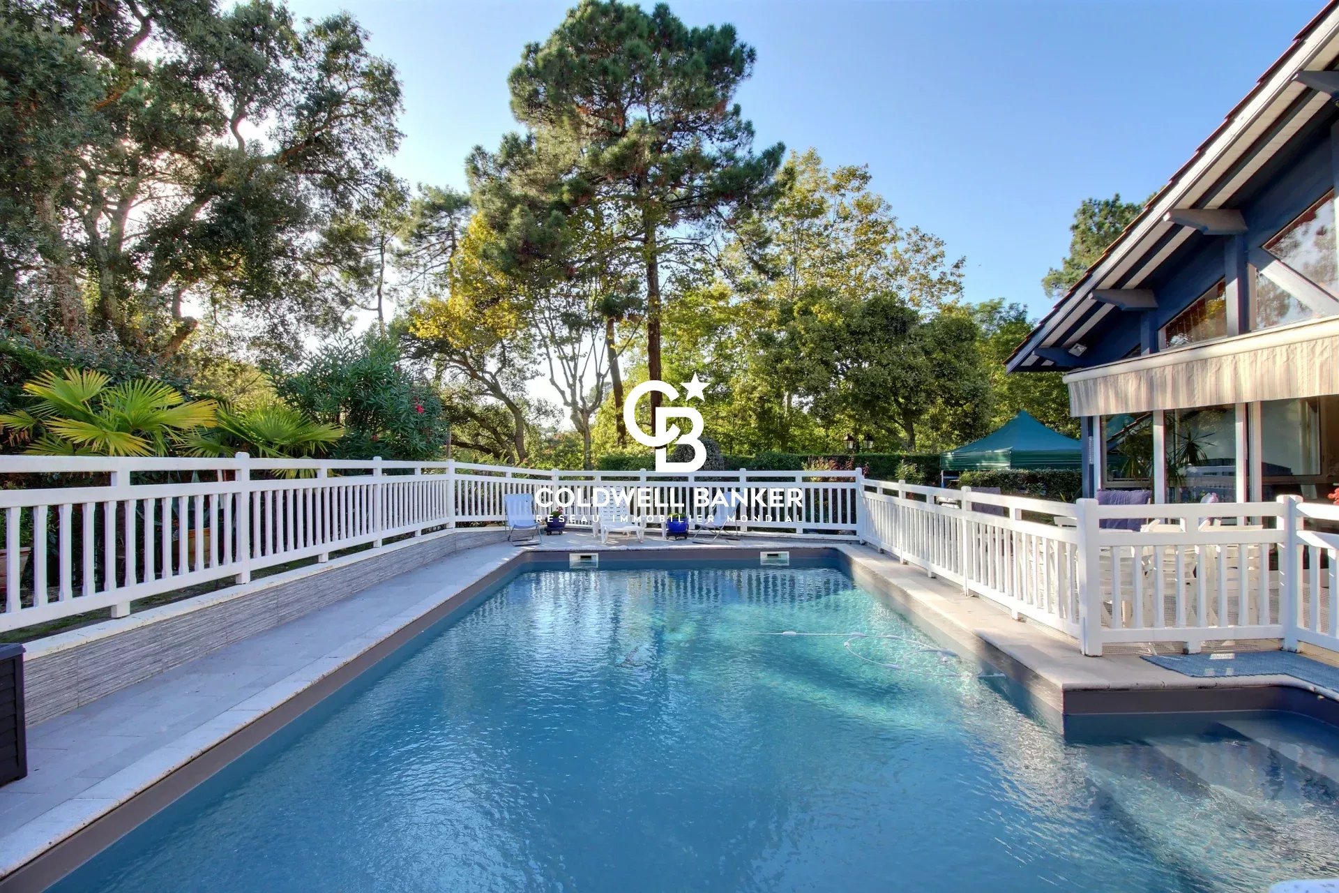 Agence immobilière de Silver Coast Int. Realty