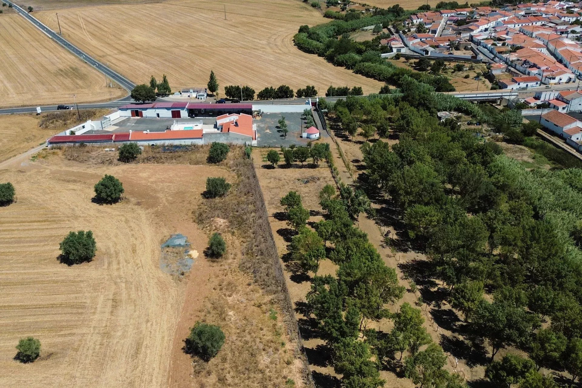 Luxury Equestrian Property + Guest House 85992157 image 10