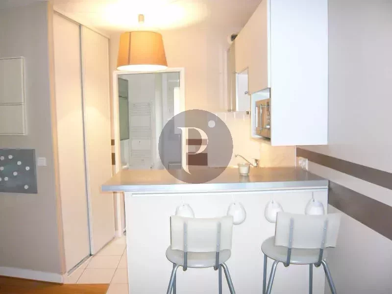 vente-appartement-1-piece-sceaux-83878380