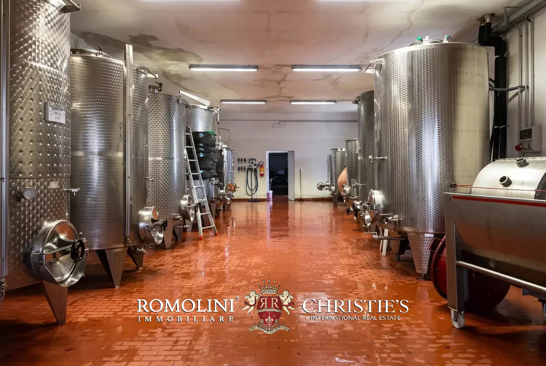 Vineyard's Image 26