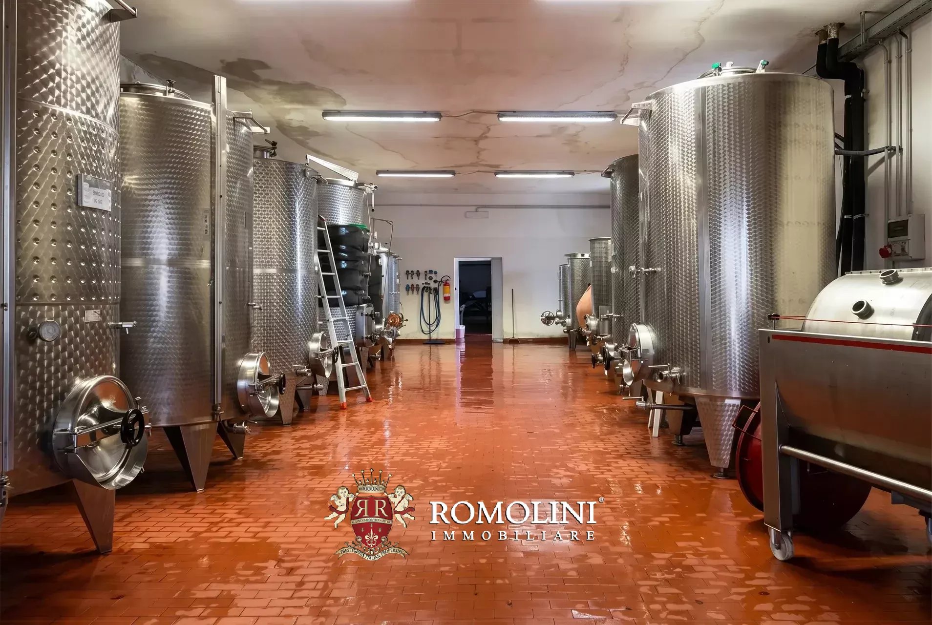 Vineyard's Image 26