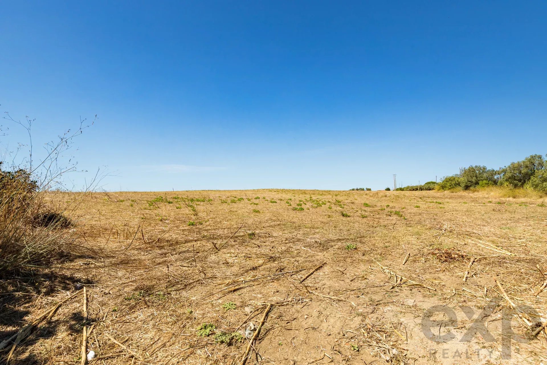 Land with Tagus view 86176491 image 21