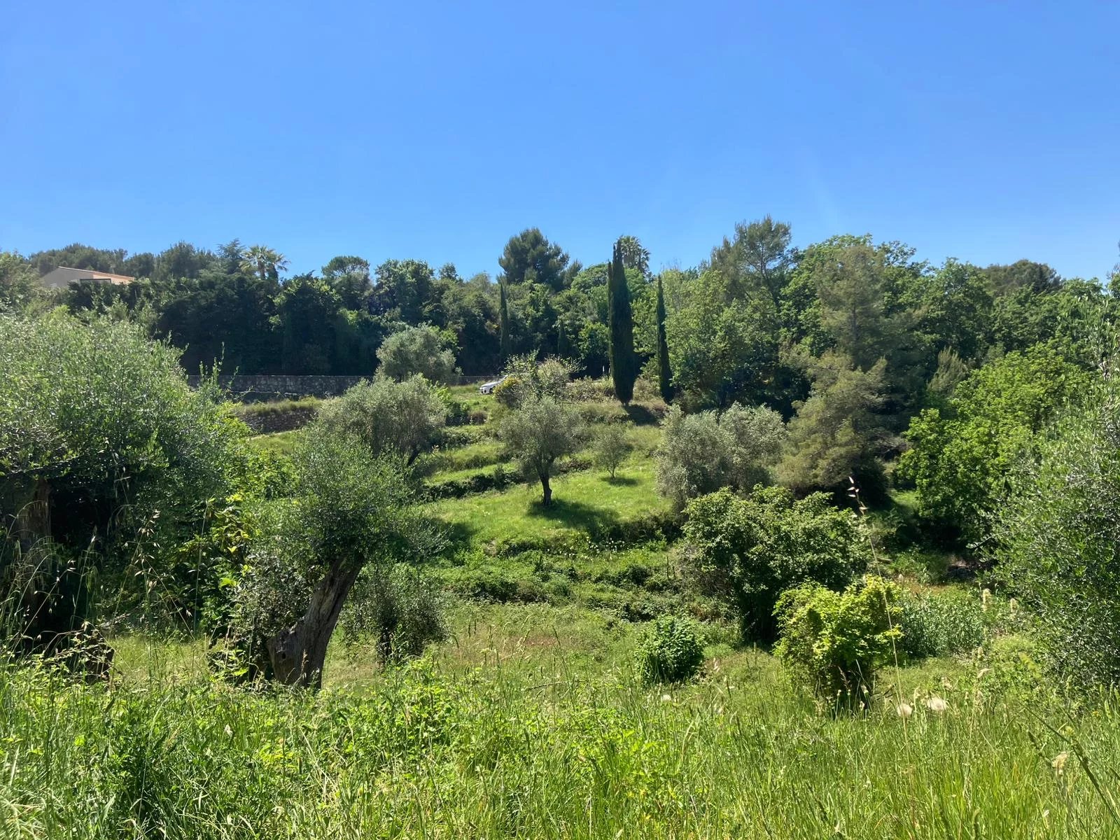 Building land with panoramic view in the Castellaras area