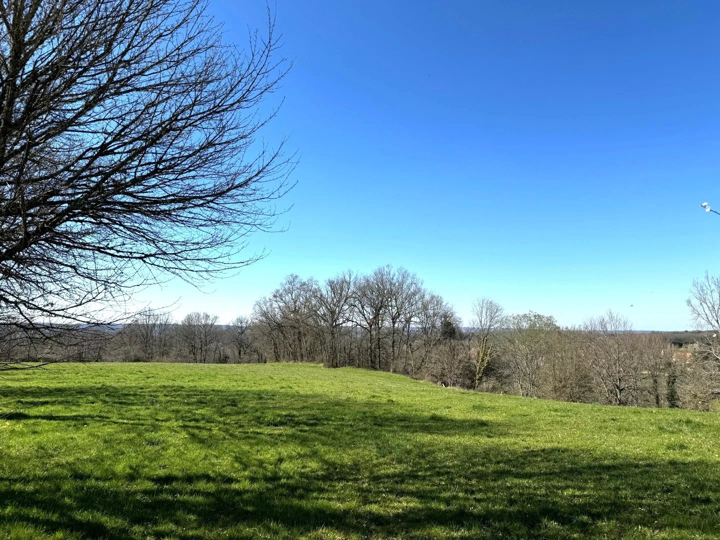 Agence immobilière de Charles Loftie Immobilier