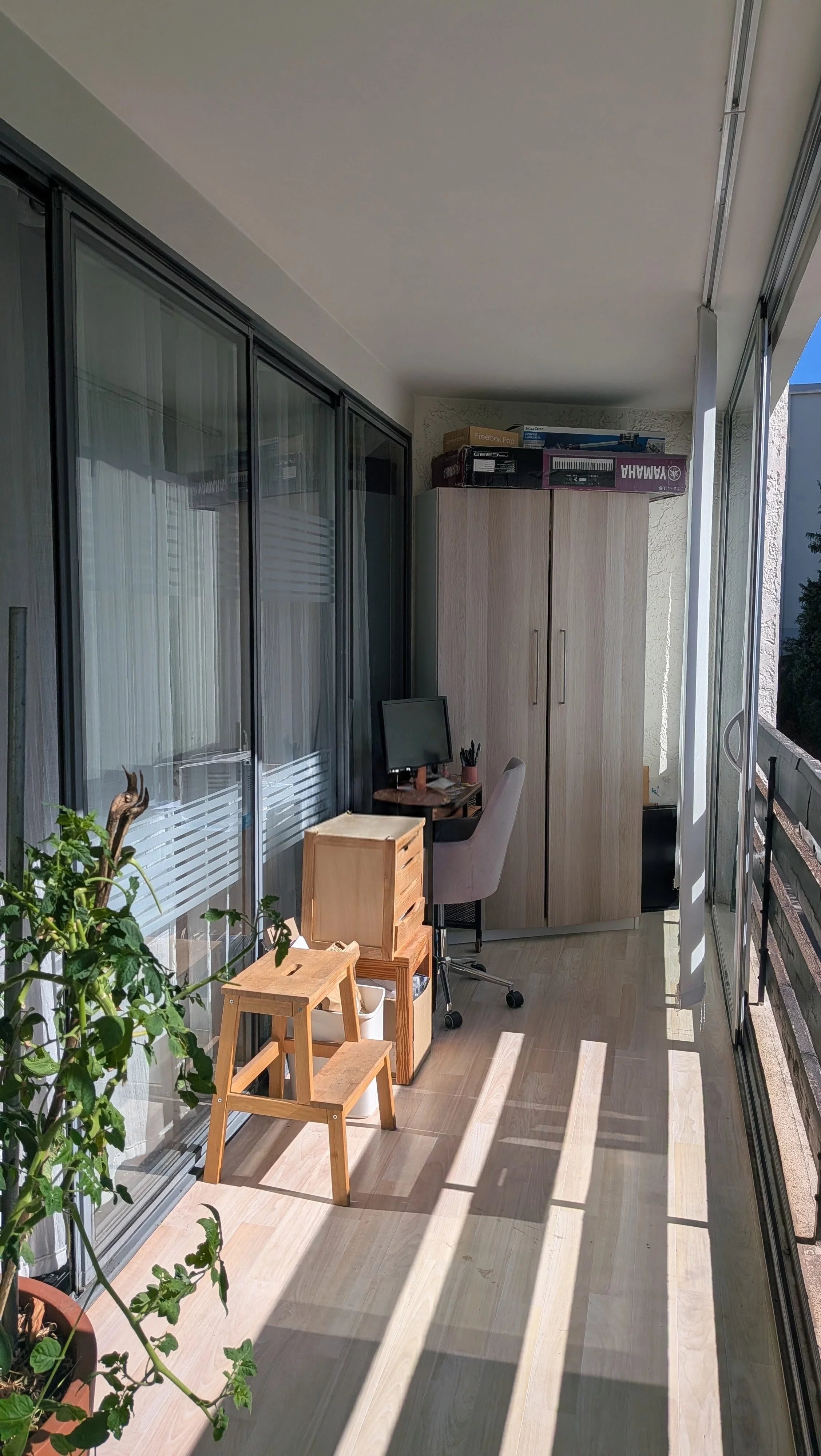 EXCLUSIVITÉ - CHARMANT T2 RÉNOVÉ ET MEUBLÉ — photo 9