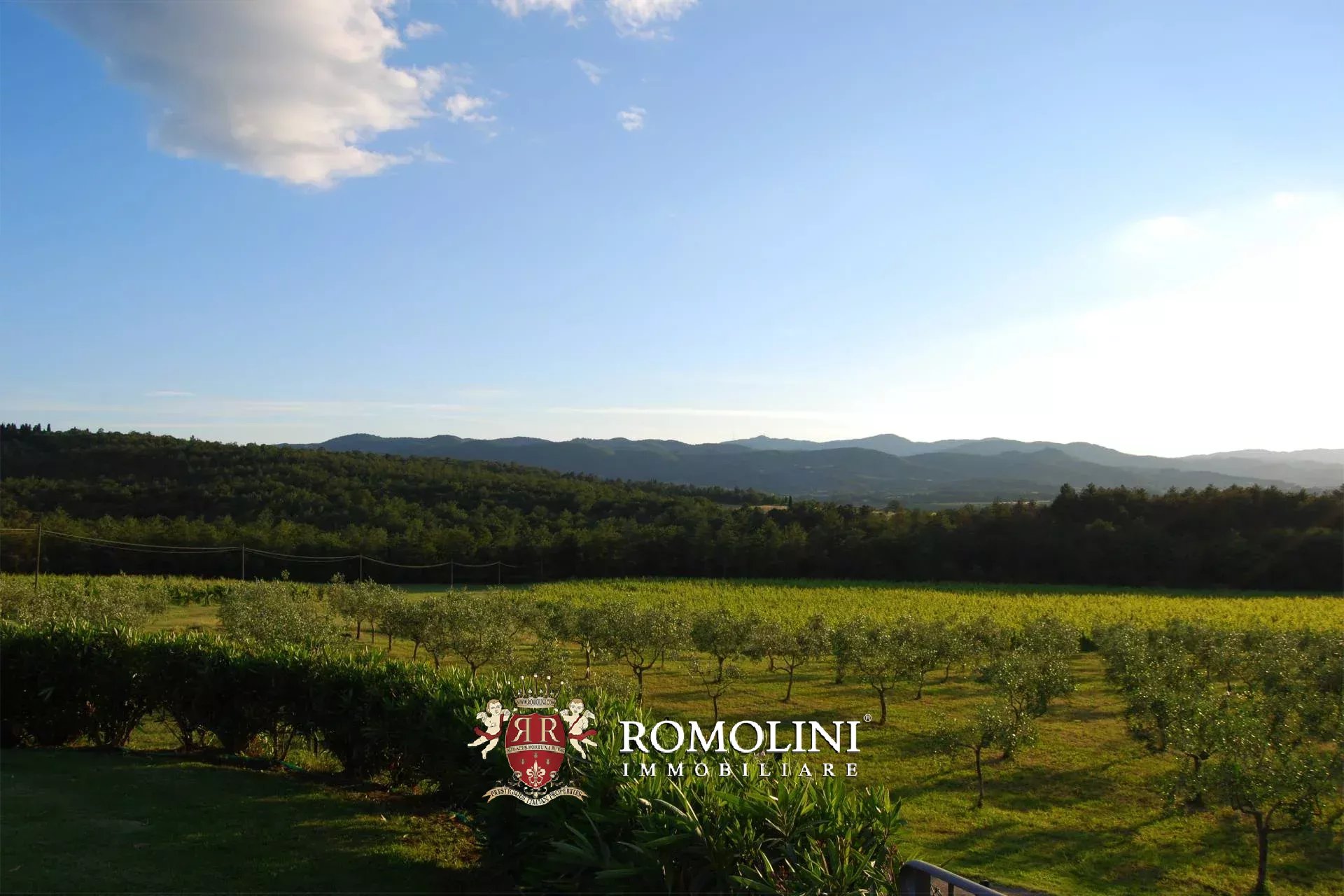 25 Bedroom Vineyard's Image 18