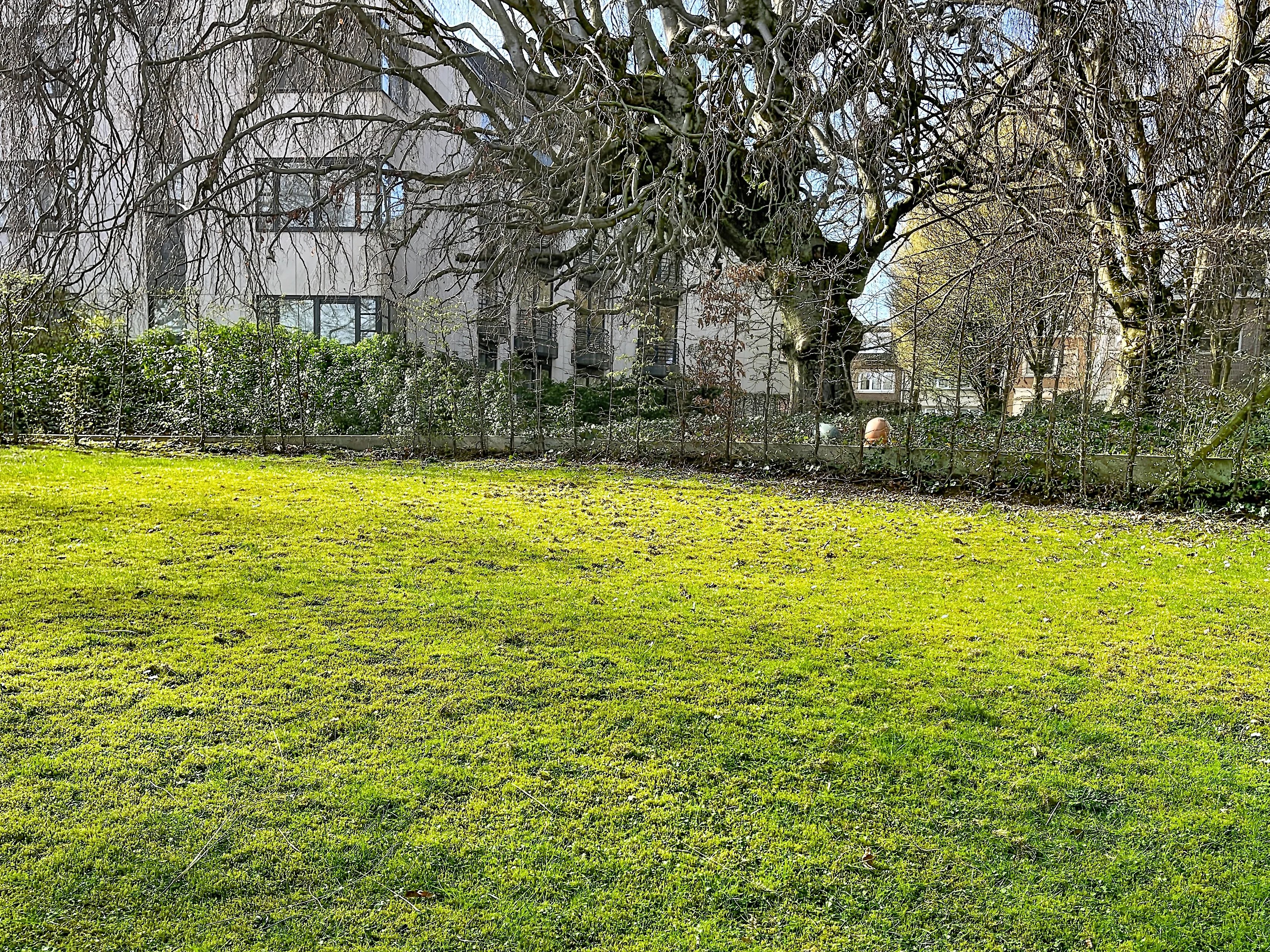 Chant dOiseaux - Rez-de-jardin 3 chambres