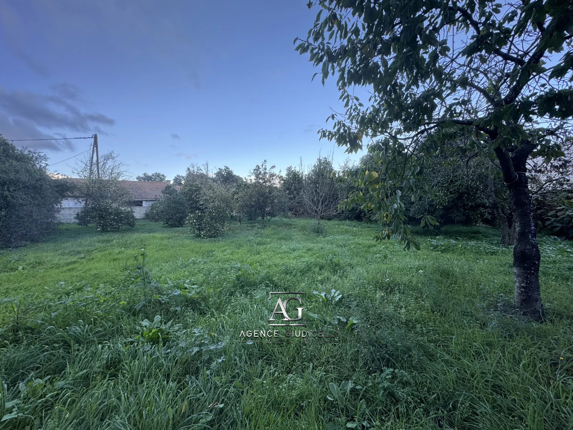 Vente Maison Prunelli-di-Fiumorbo