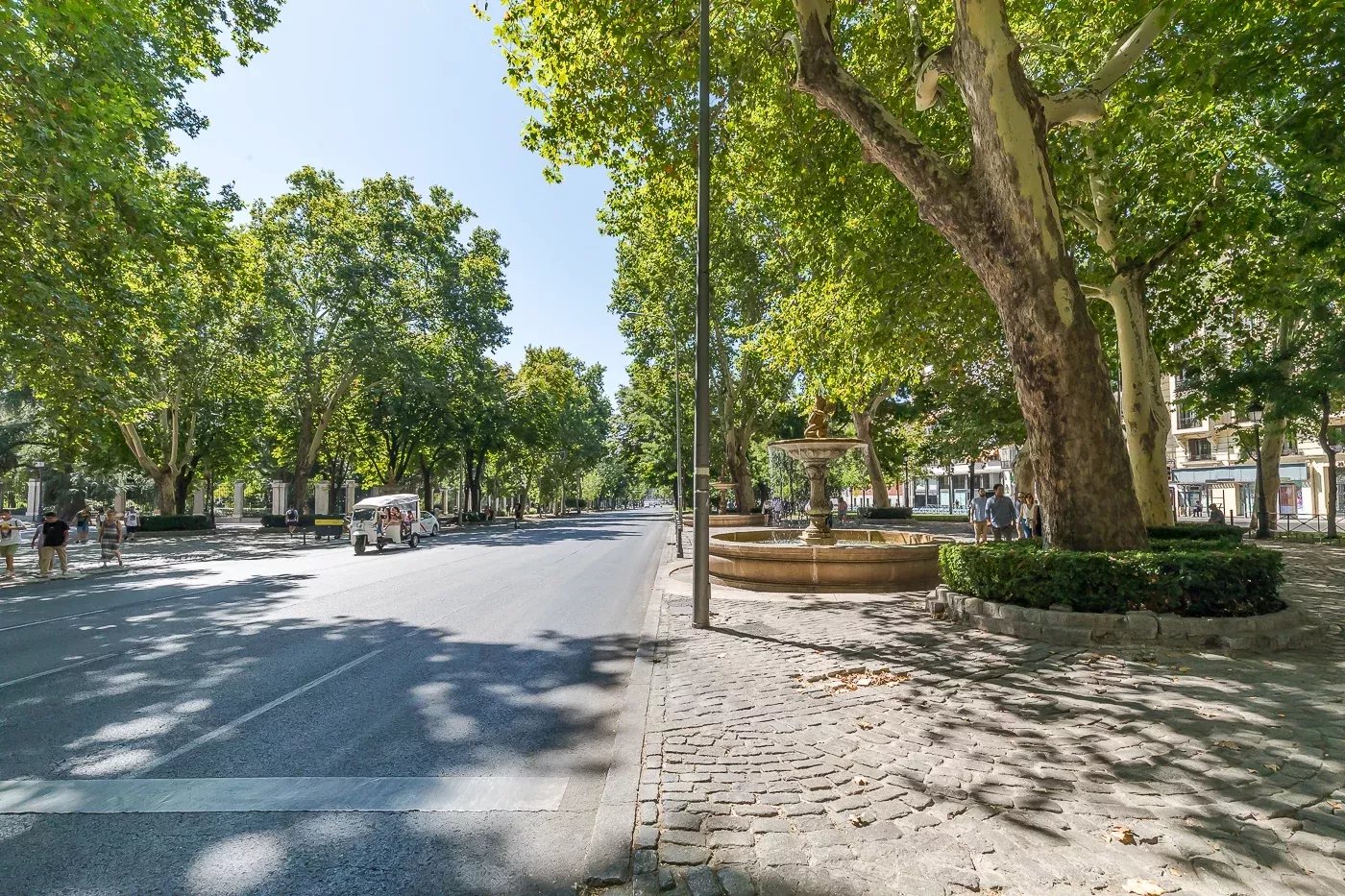 Daire Madrid - picture 32