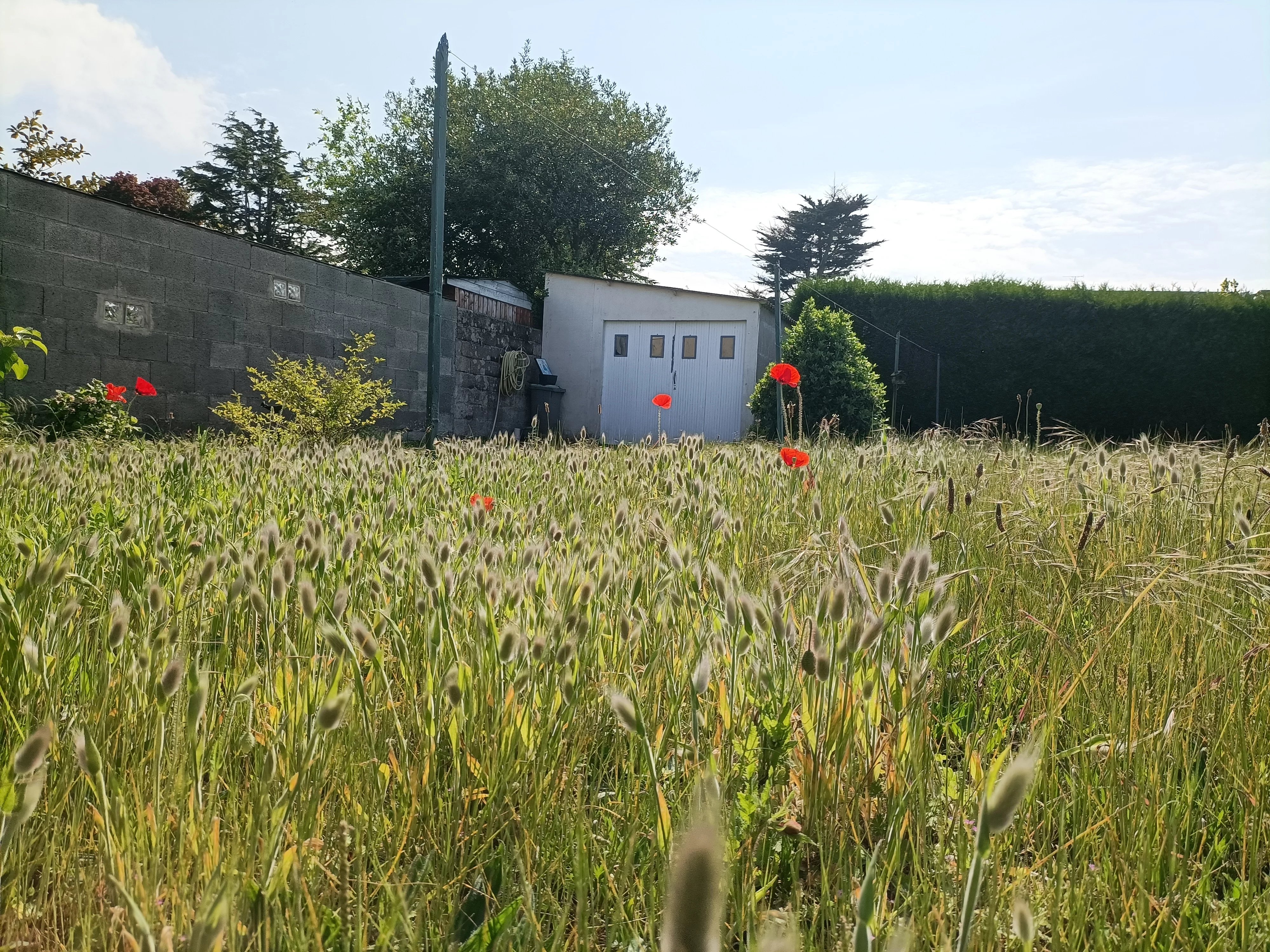 DINARD – PORT BLANC