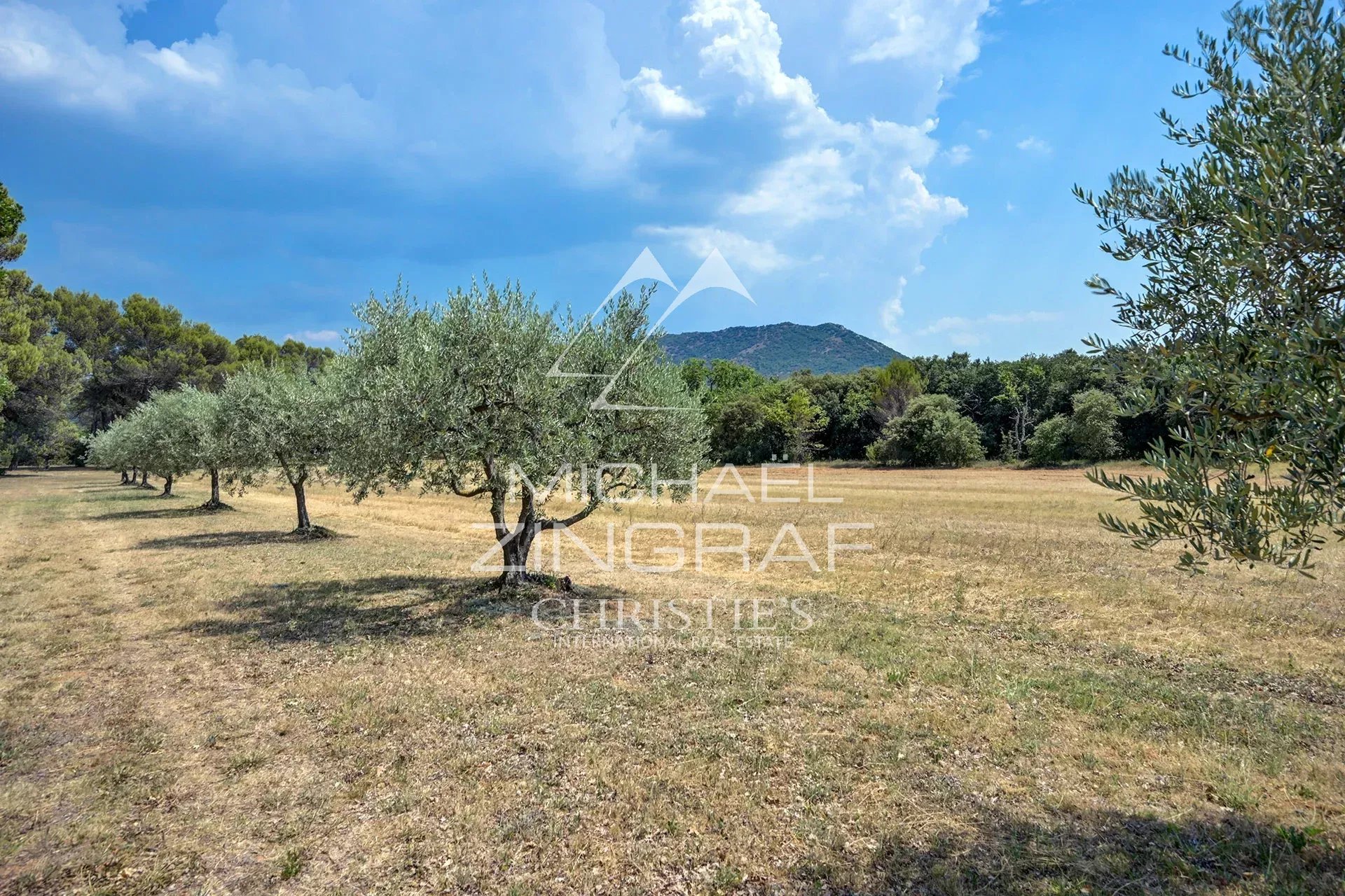 Property Slider Image