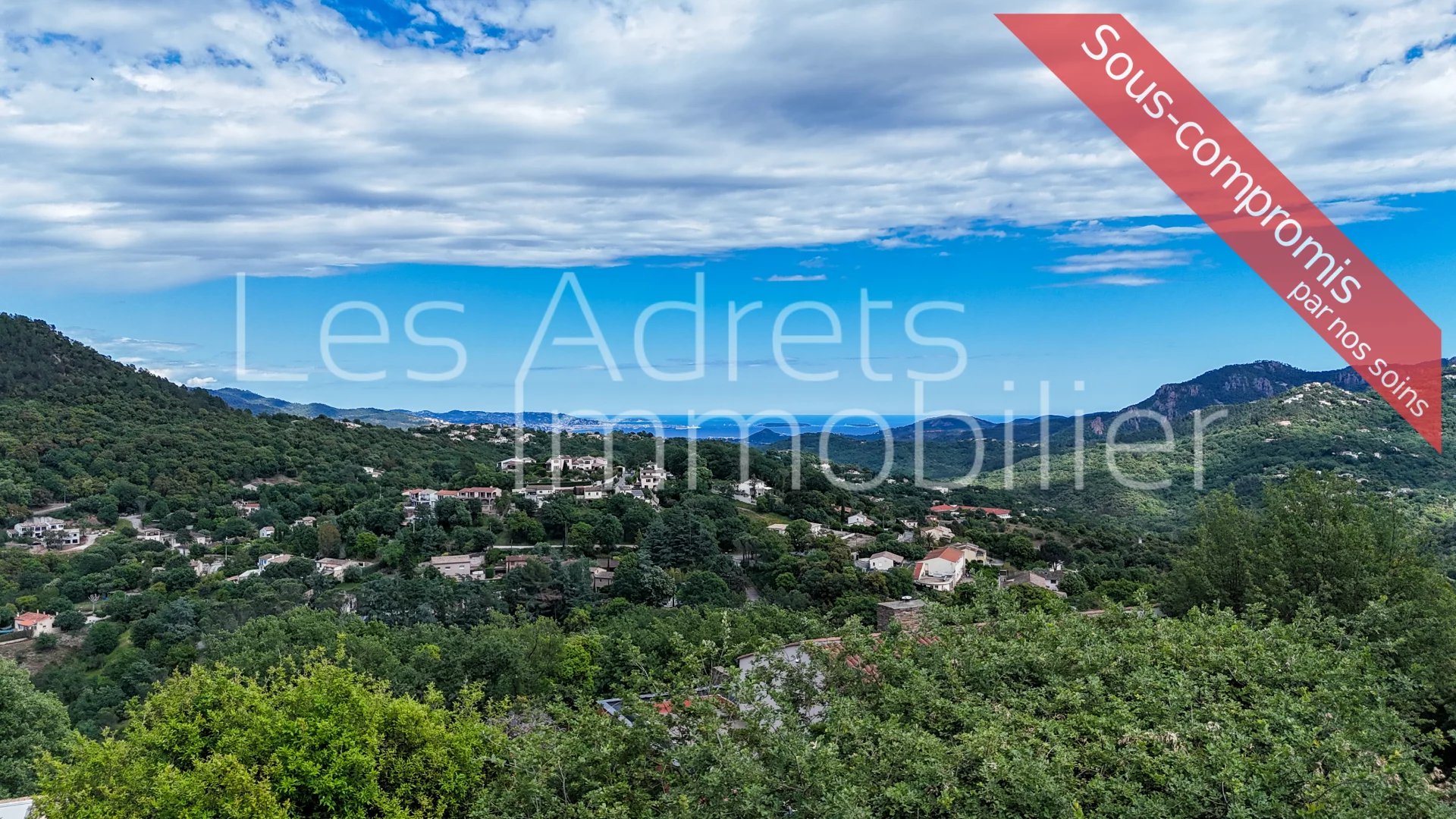 Agence immobilière de 