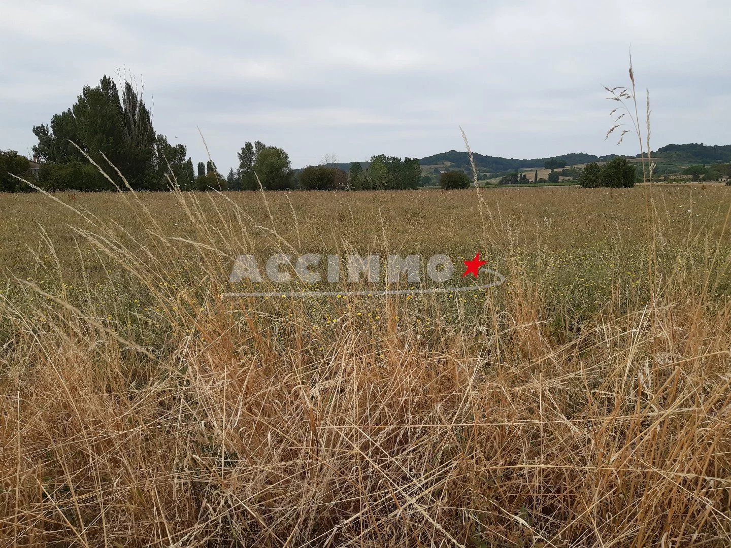 GAILLAC - TERRAIN AGRICOLE