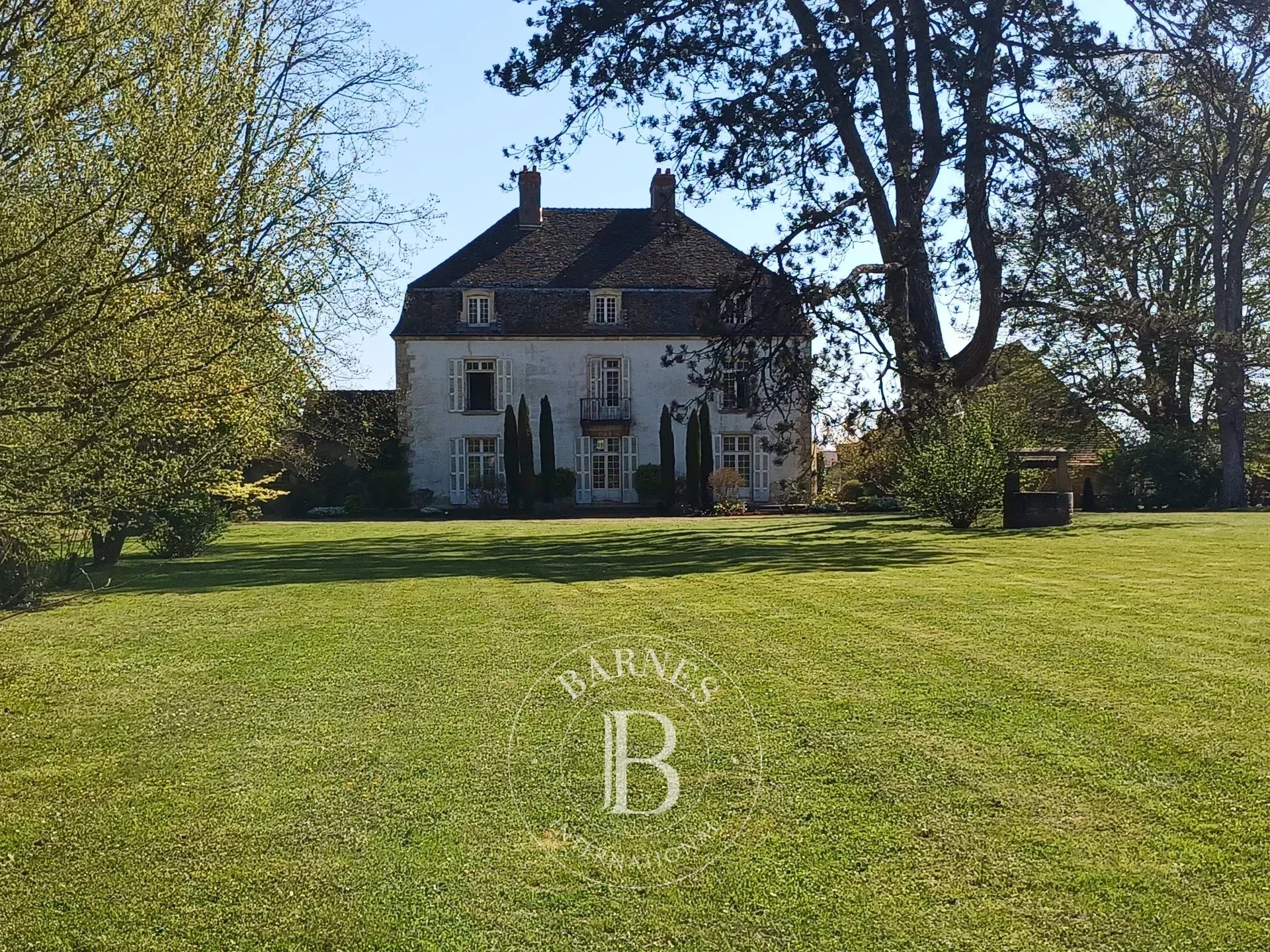 Propriété Chalon-sur-Saône  -  ref 82295047 (picture 2)