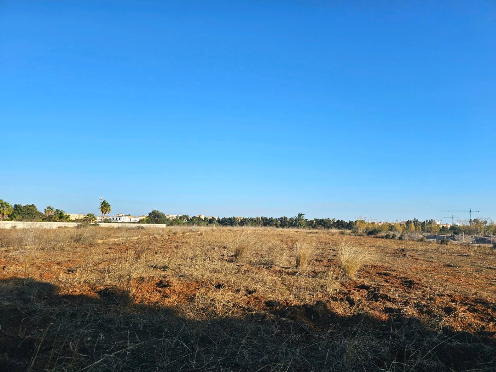 Vente Terrain Dénia