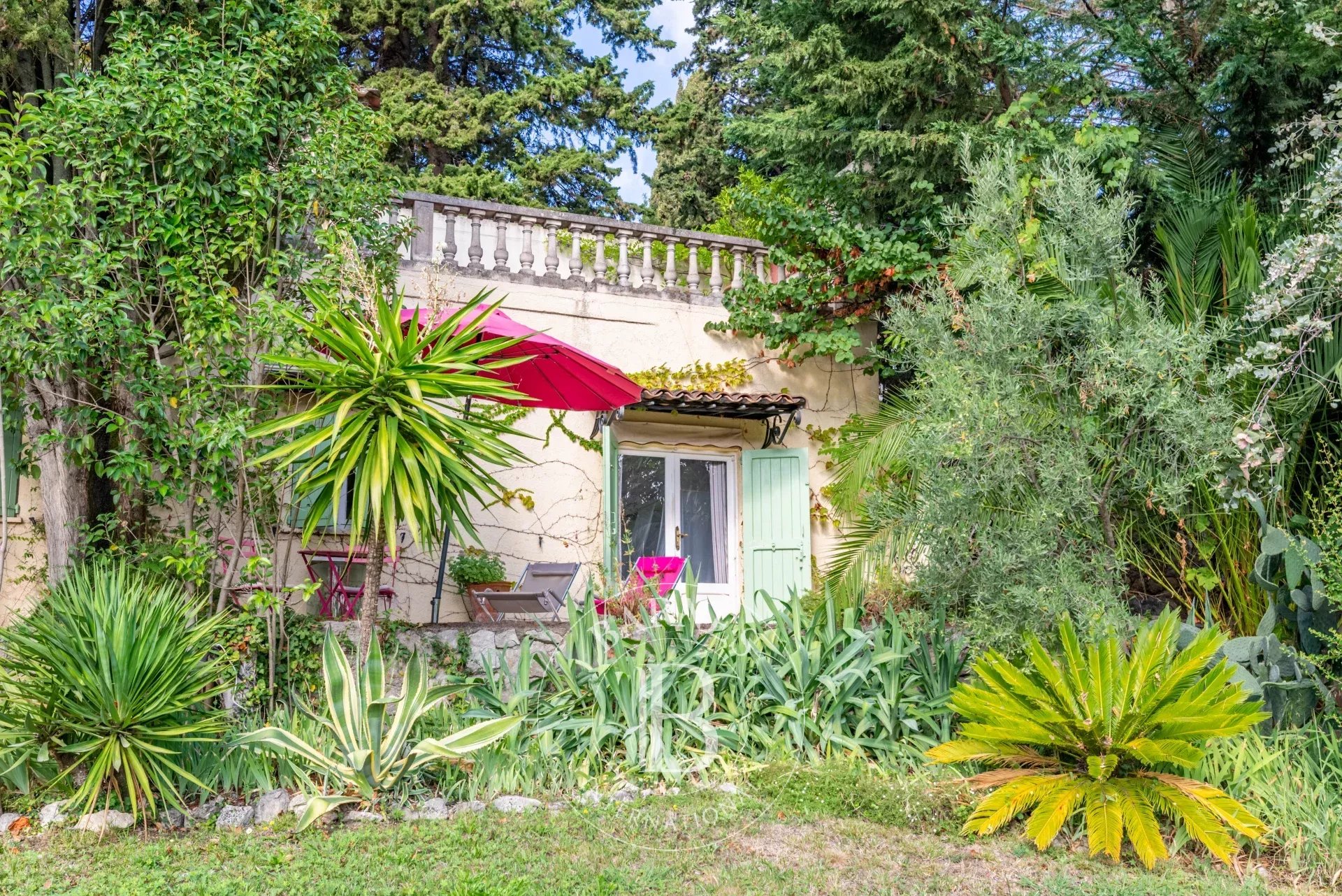 Ev Grasse - picture 15