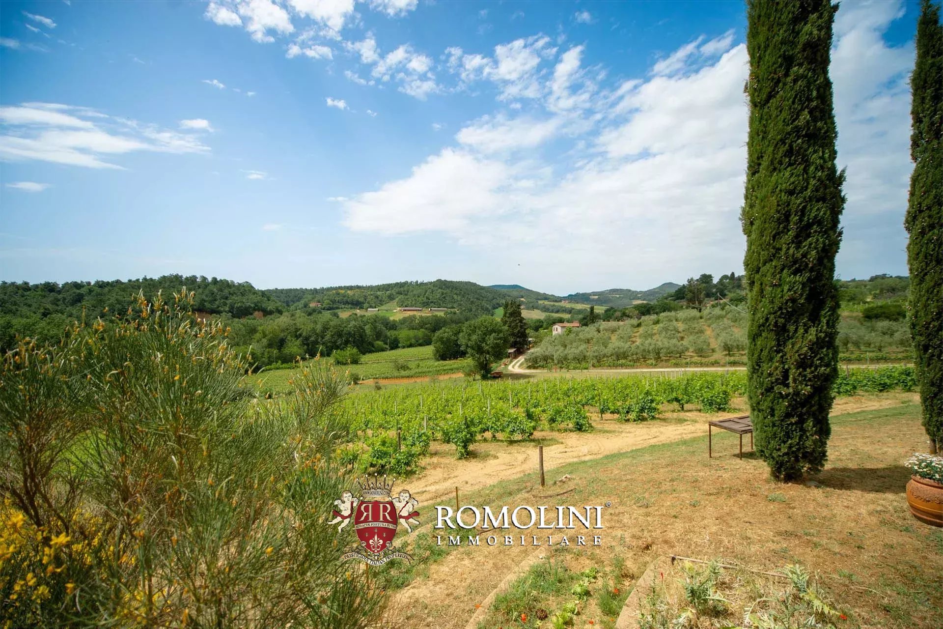2 Bedroom Vineyard's Image 10