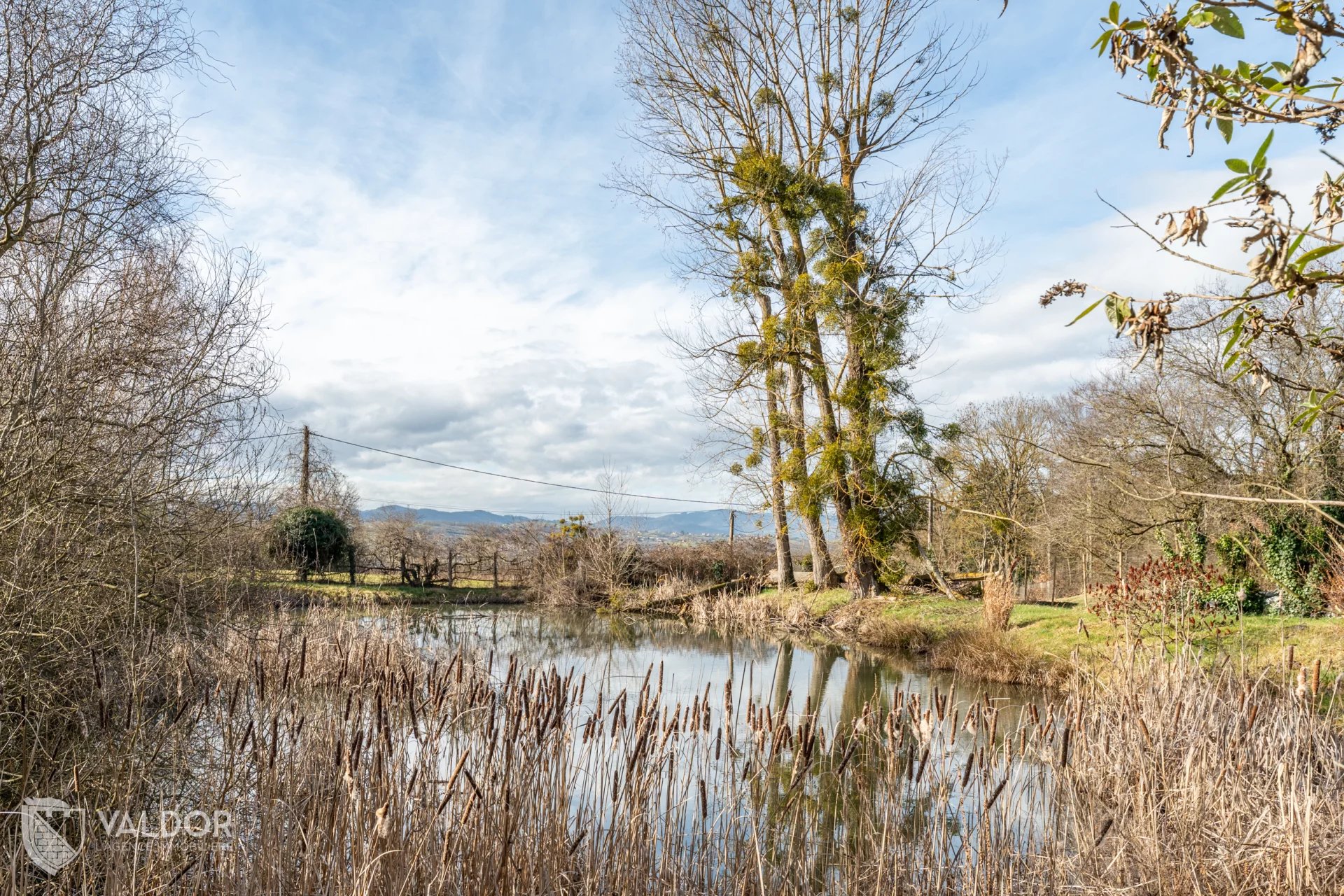 Maison Traditionnelle- avec Terrain et Etang