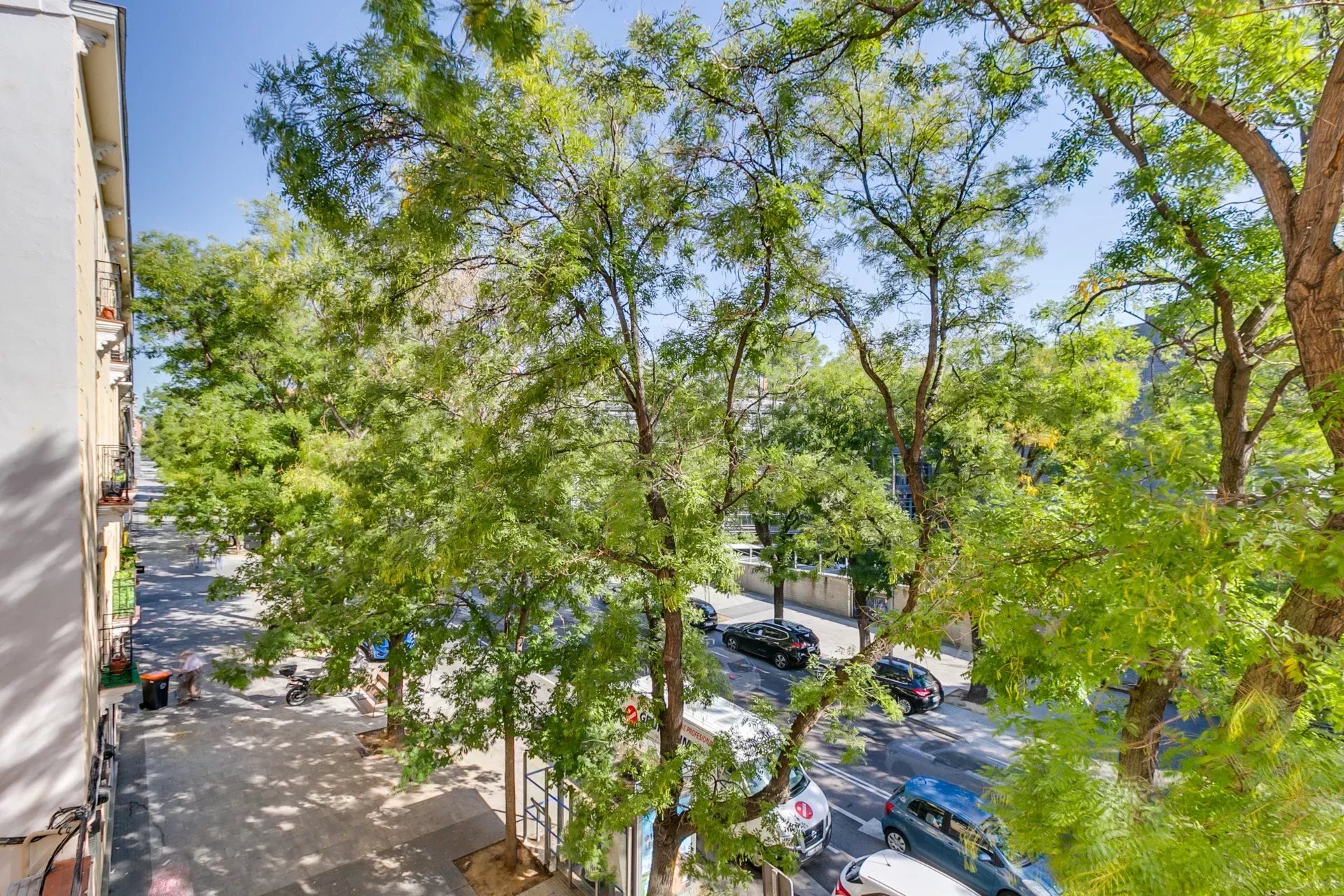 Daire Madrid - picture 26