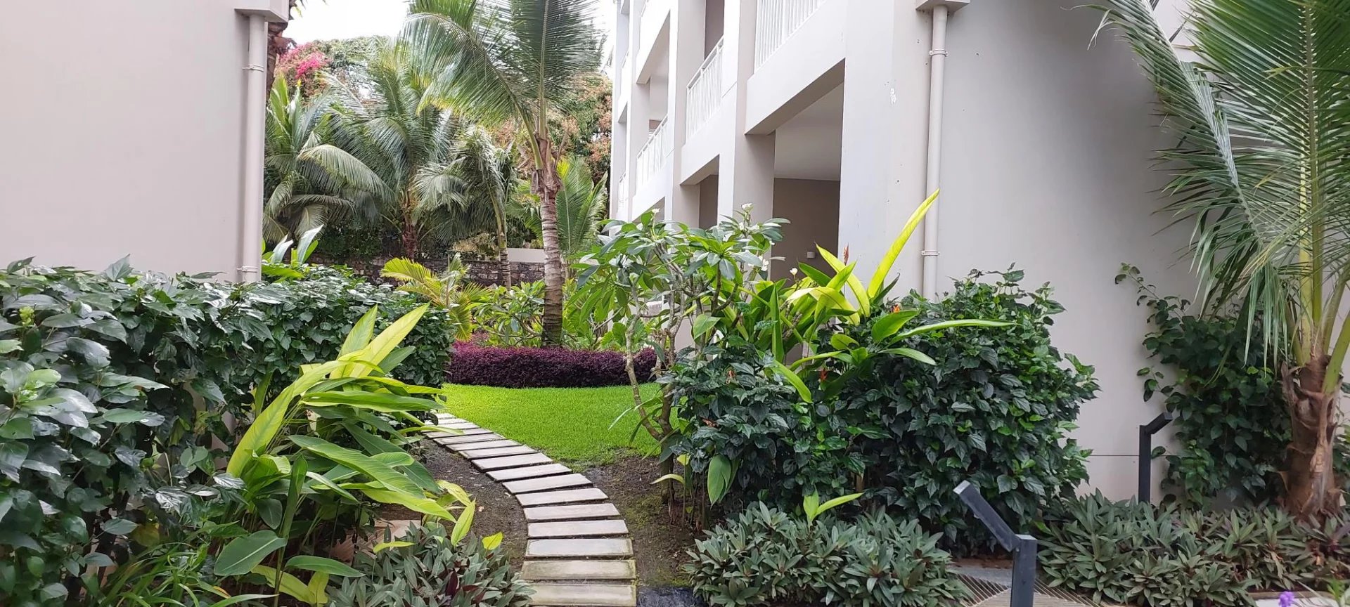 Daire Pereybère - picture 5