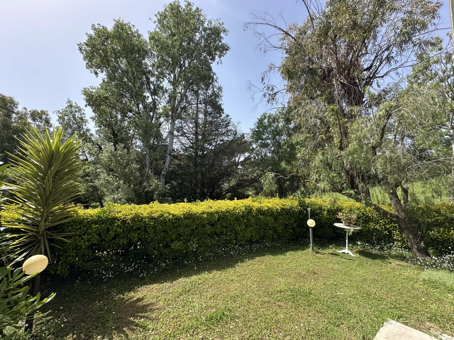VENTE HAUTS DE VAUGRENIER APPARTEMENT 2 PIECES 379 000.-€