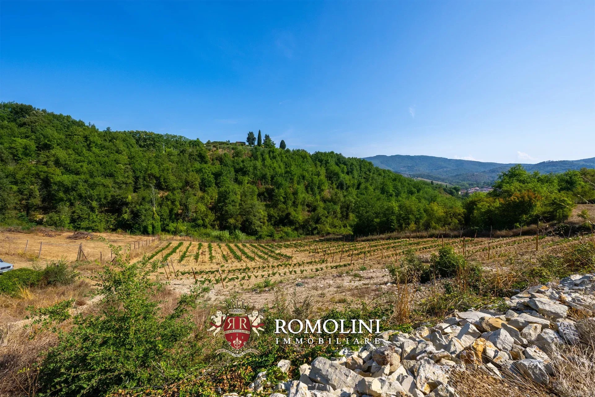 3 Bedroom Vineyard's Image 19
