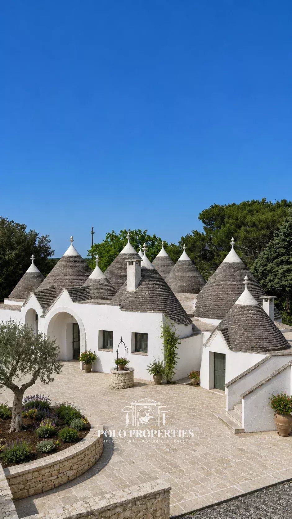 CHARACTER PROPERTY TO RENOVATE WITH 14 TRULLI, SWIMMING POOL AND PRIVATE FOREST NEAR MARTINA FRANCA