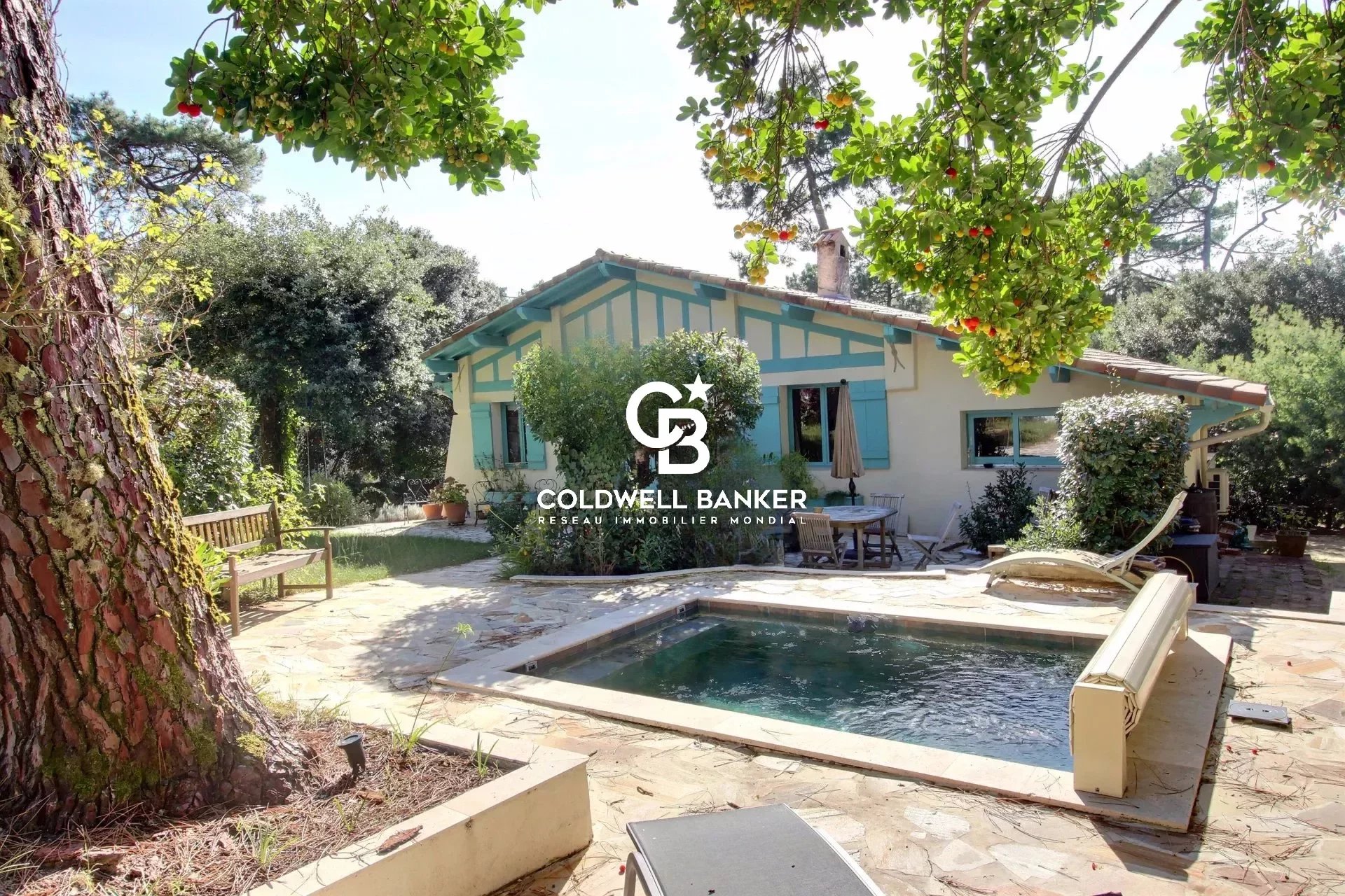 Agence immobilière de Silver Coast Int. Realty