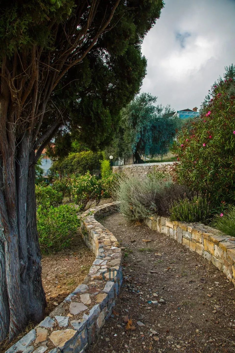 Villa Sanremo - picture 17