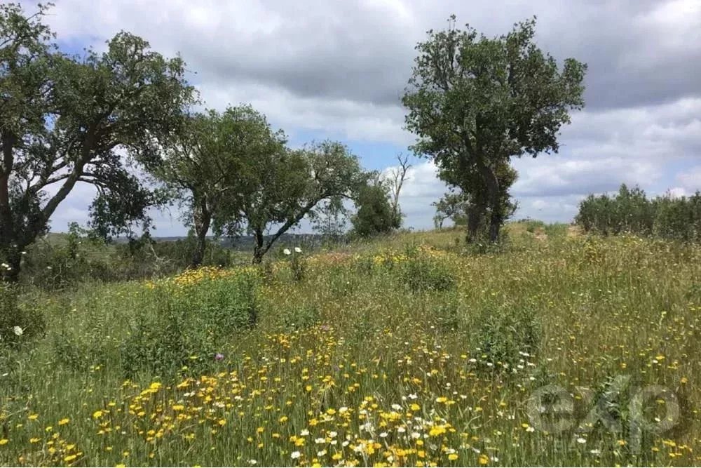 Exceptional 65-Hectare Estate in Alentejo with Tourism Development Potential 85506160 image 39