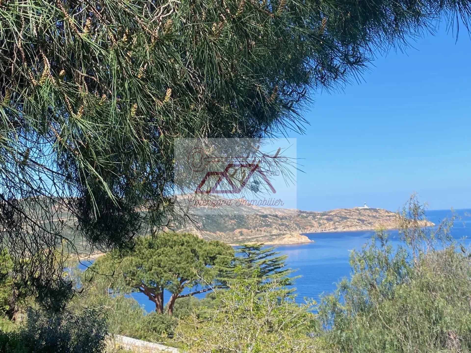 Vente Duplex Calvi