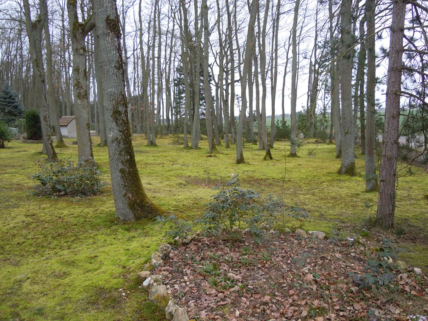 Vente Terrain Maintenon