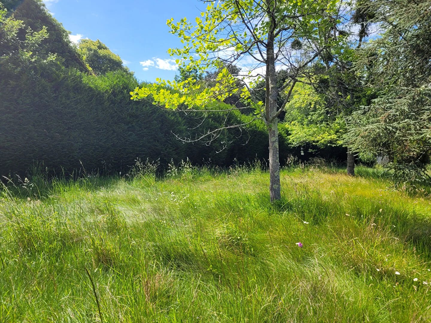 Vente Terrain Anet