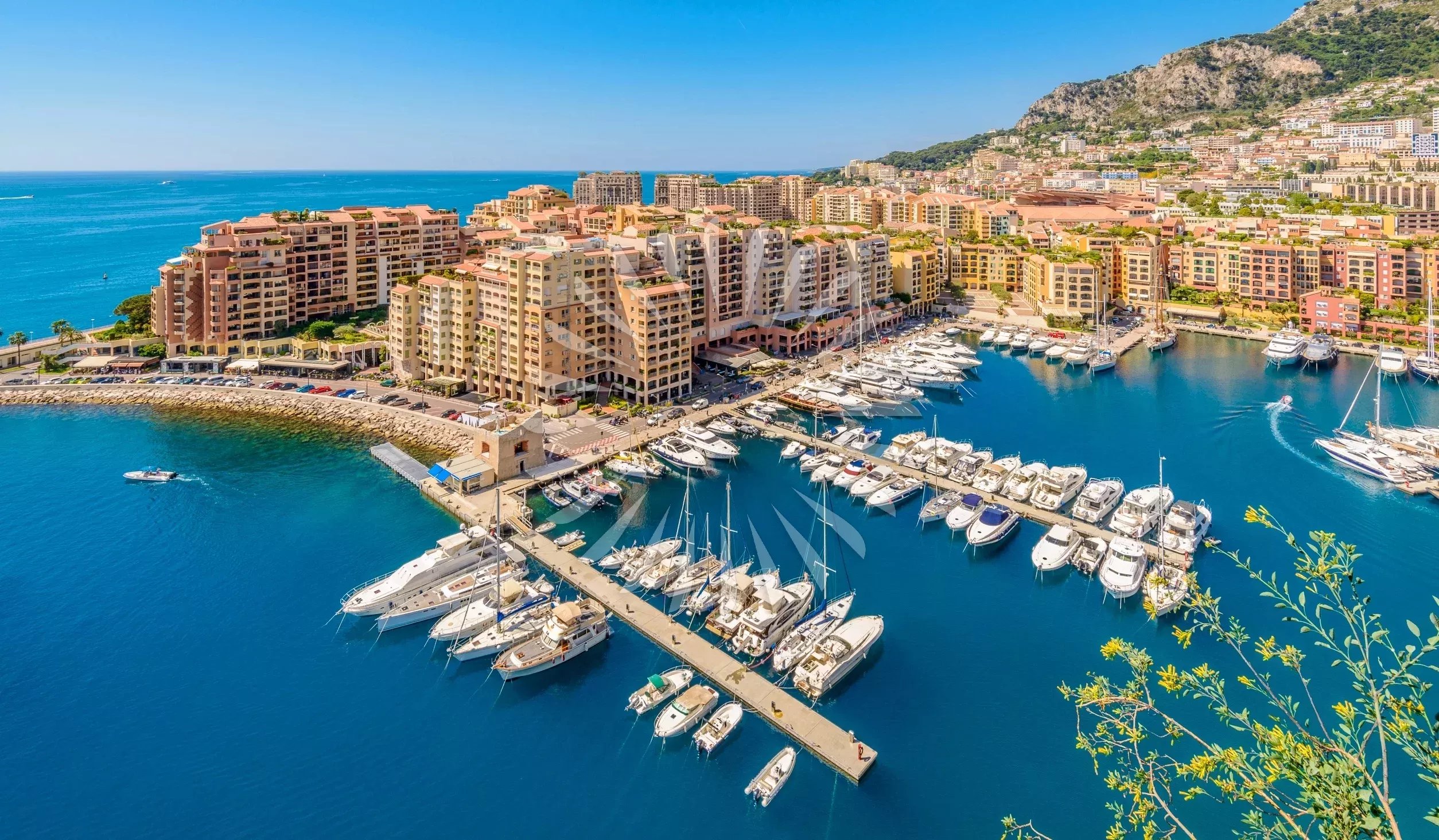 Giorgione - Fontvieille