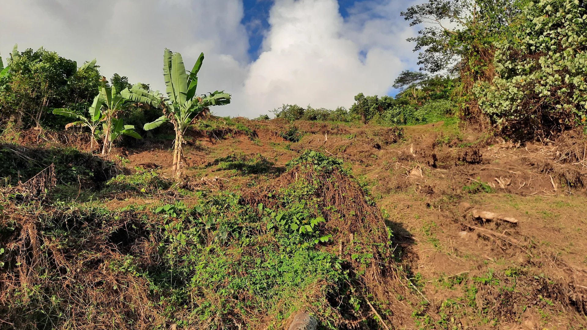 Sale Plot of land Moorea-Maiao