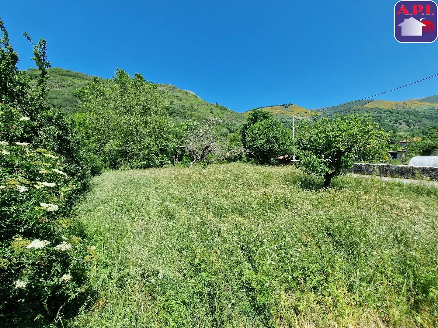 Terrain