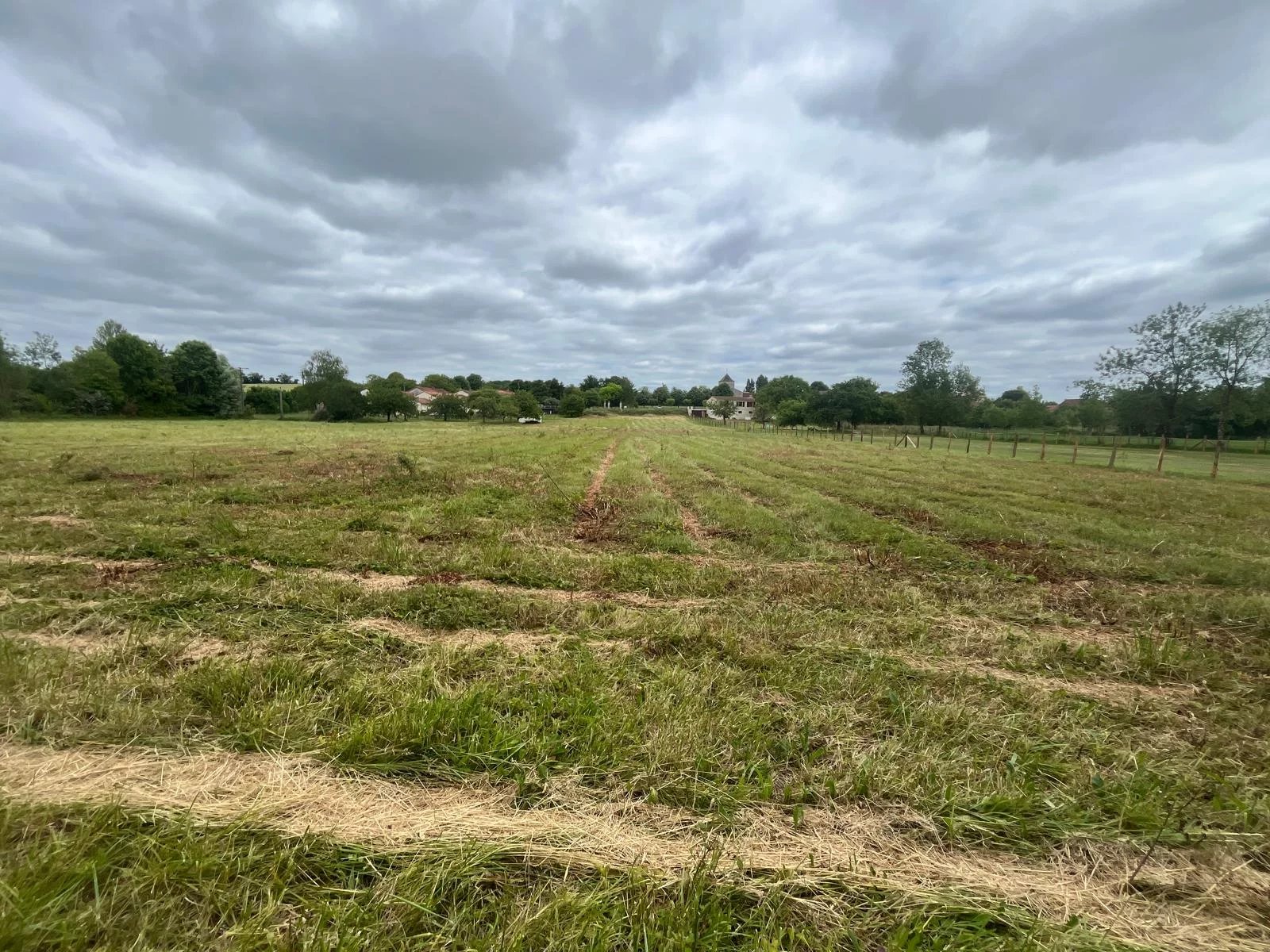 Building plot
