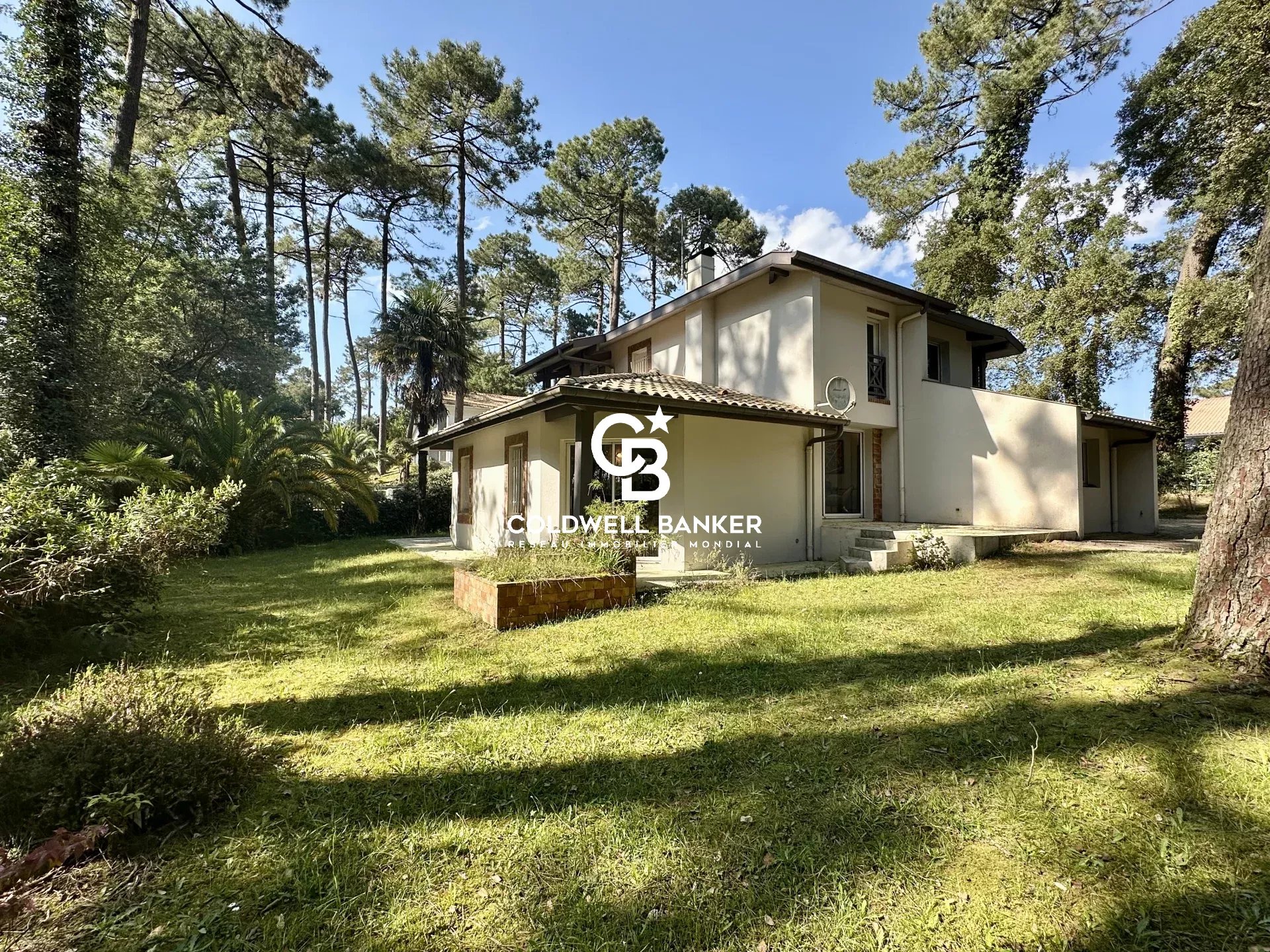 Agence immobilière de Coldwell Banker Surfin Realty