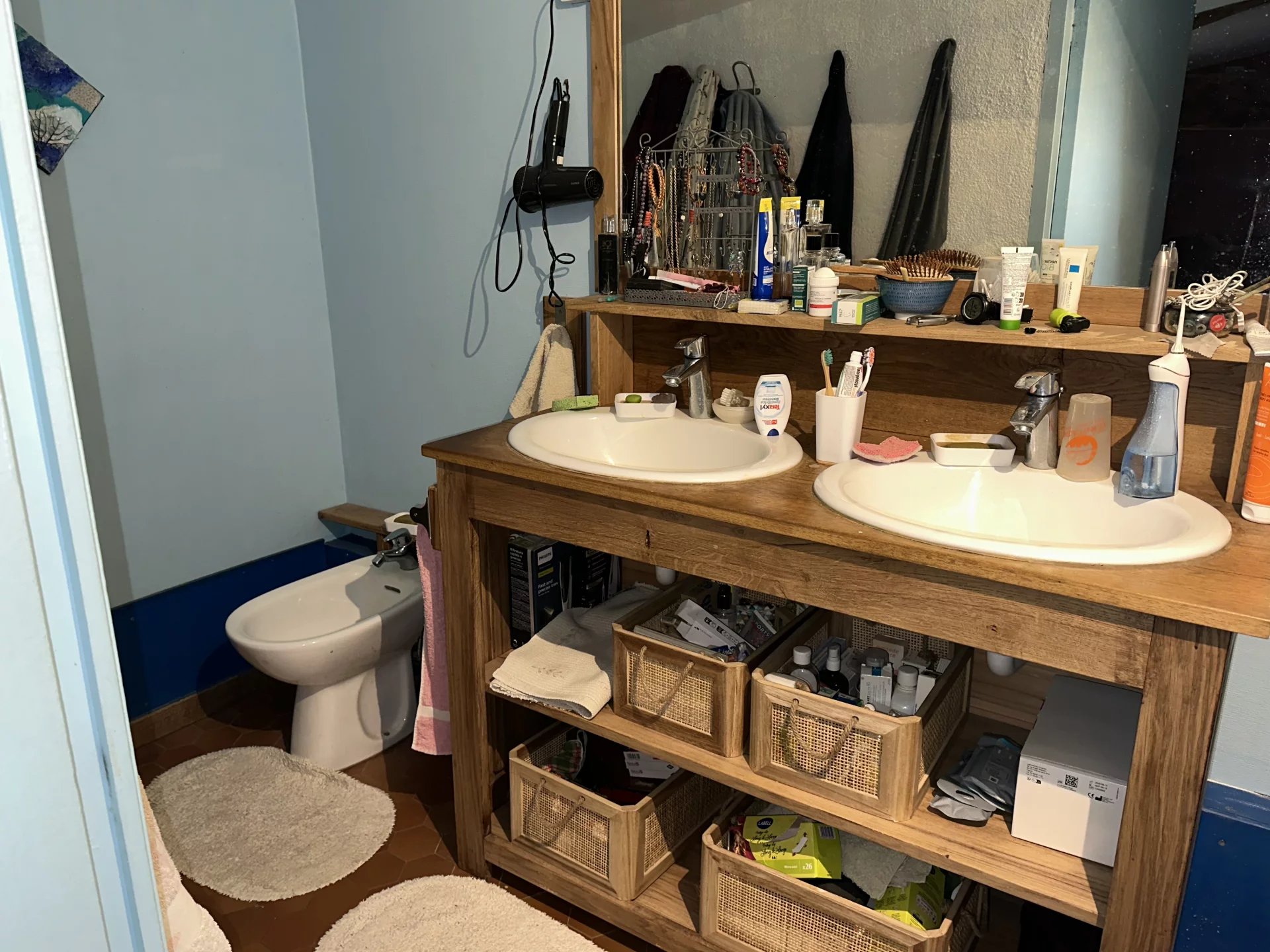 Vente Propriété Sommières-du-Clain