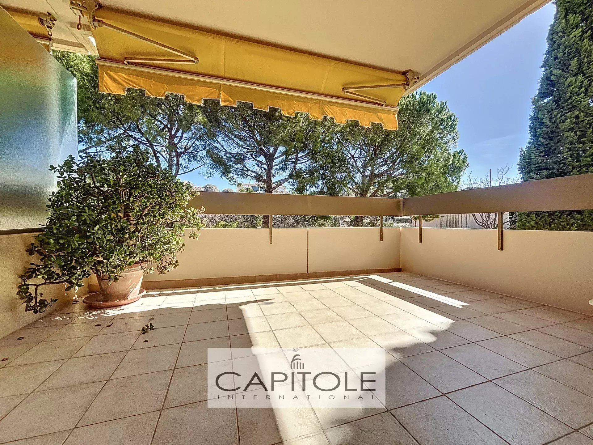 Agence immobilière de Capitole International