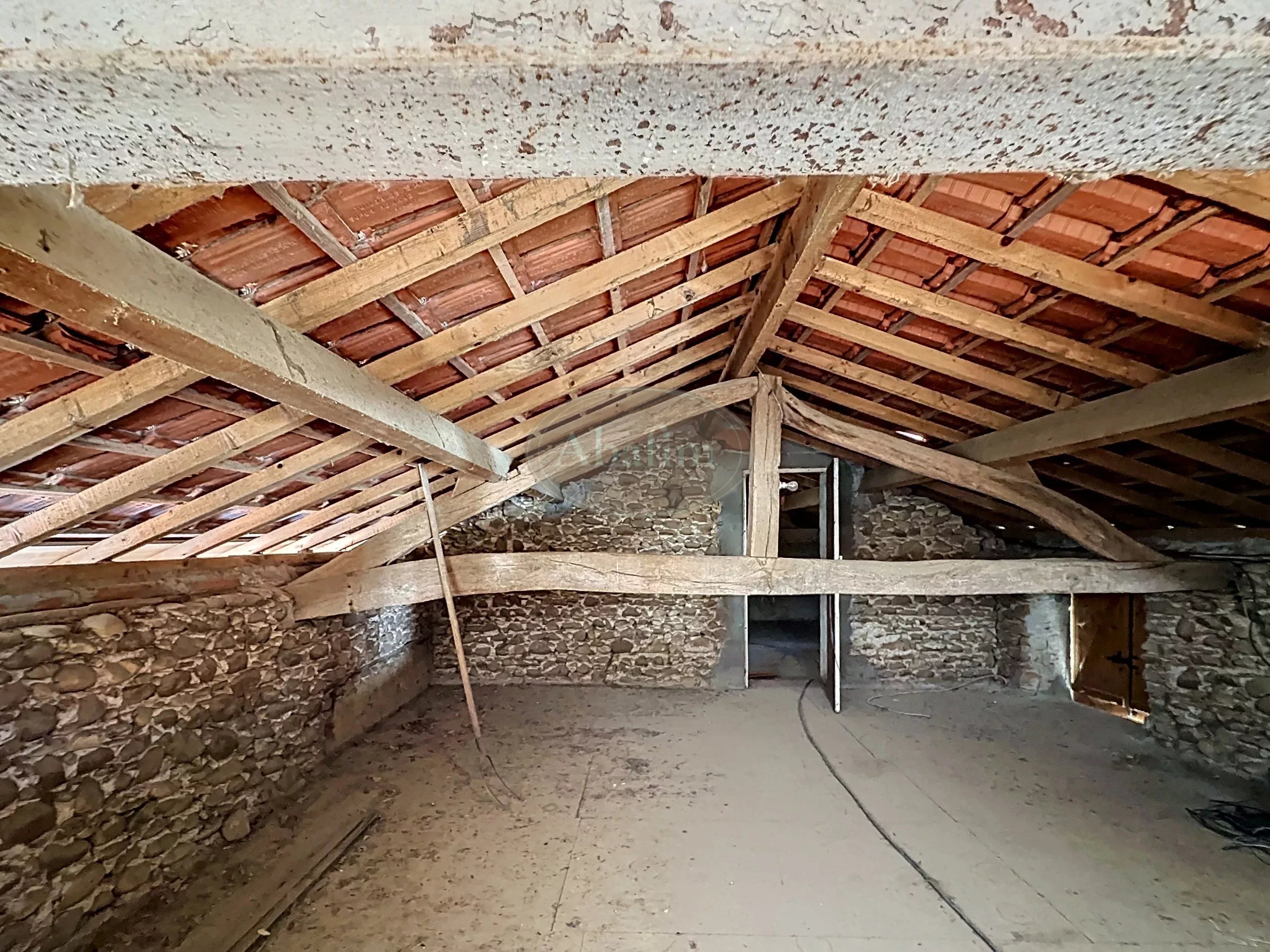FERME 2 HA - Photo 4