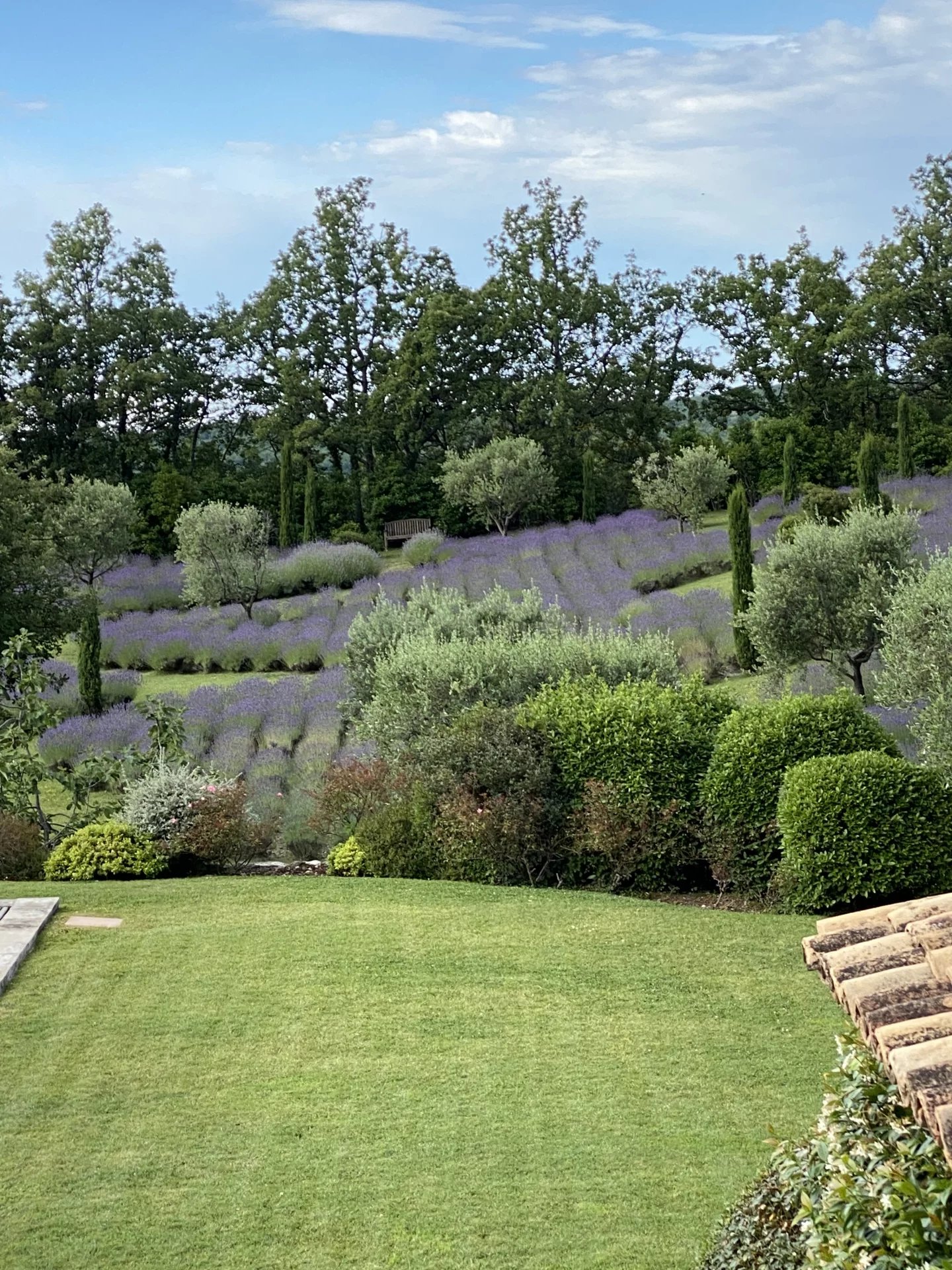 Magnificent property - Saint Vallier de Thiey