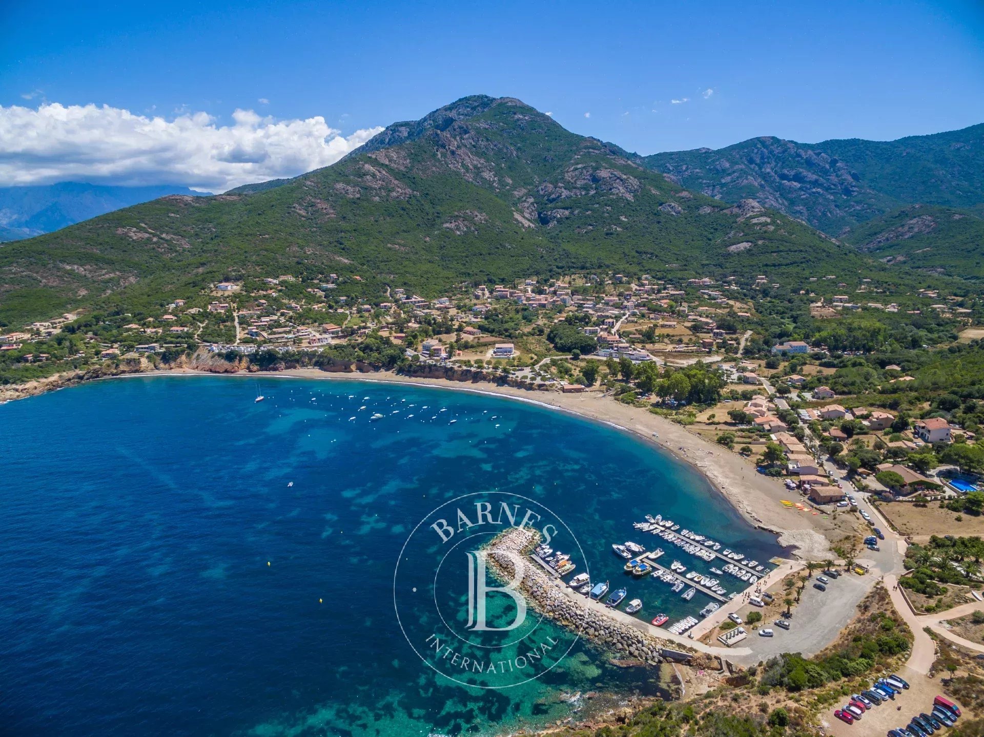 Arazi Calvi - picture 5 title=