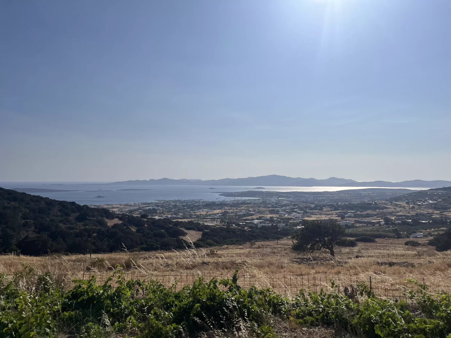 Image de la propriété 25