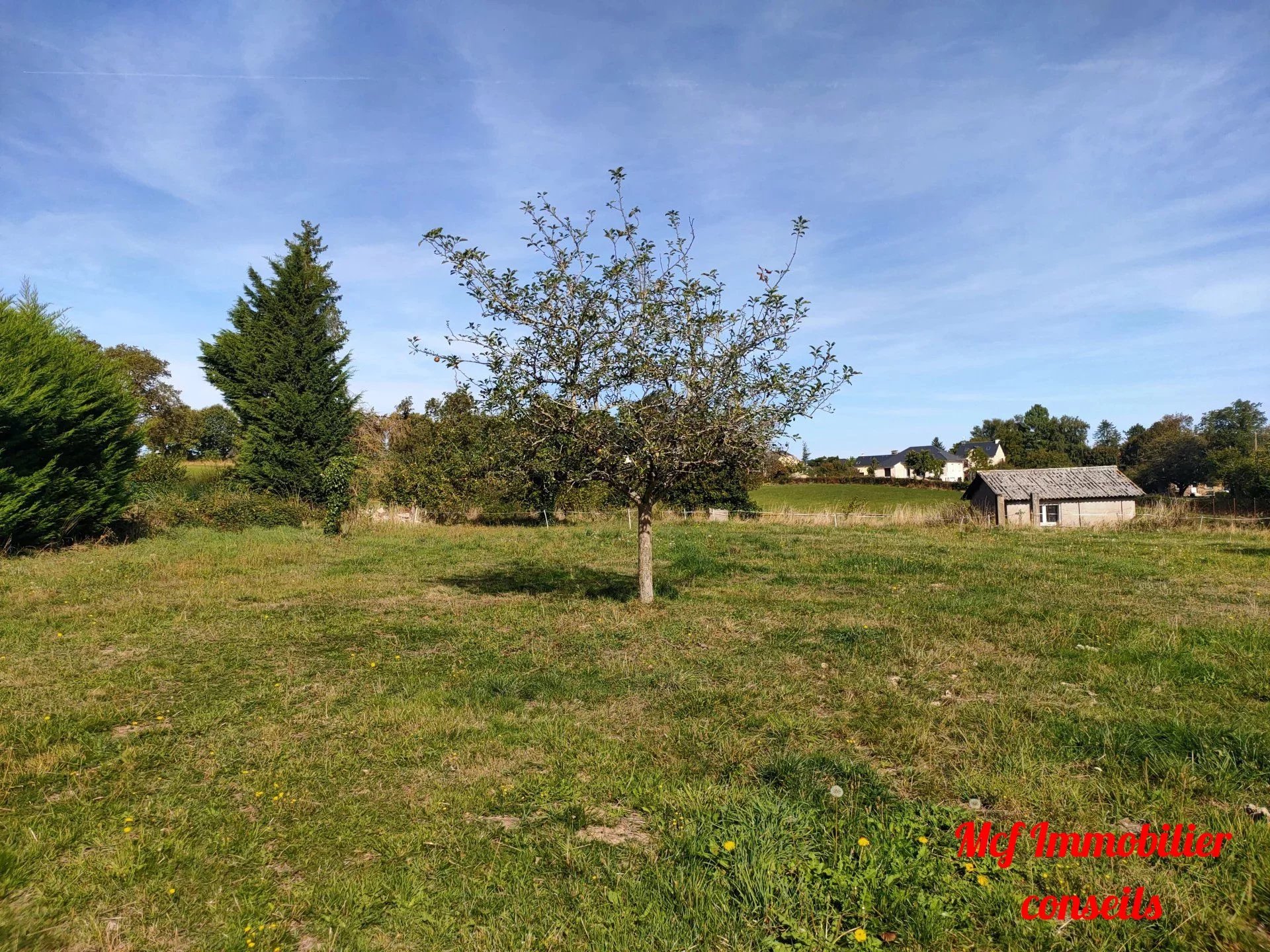 Agence immobilière de CAUMES DAVID