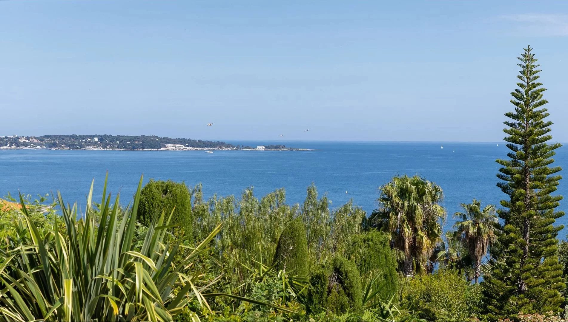Sale House Cannes